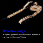 Dog Leash – Dual Handle Reflective Control
