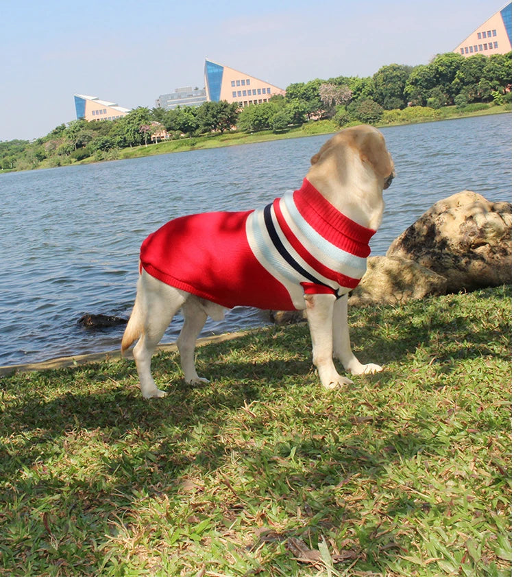 Christmas Dog Sweater – Red Wool Knit Holiday Pullover