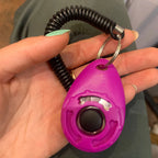 PaiPaitek Dog Training Clicker – Adjustable Wrist Strap