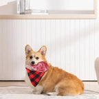 Steak Shaped Plush Dog Toy - Squeaky for Small & Medium Dogs, Interactive & Fun