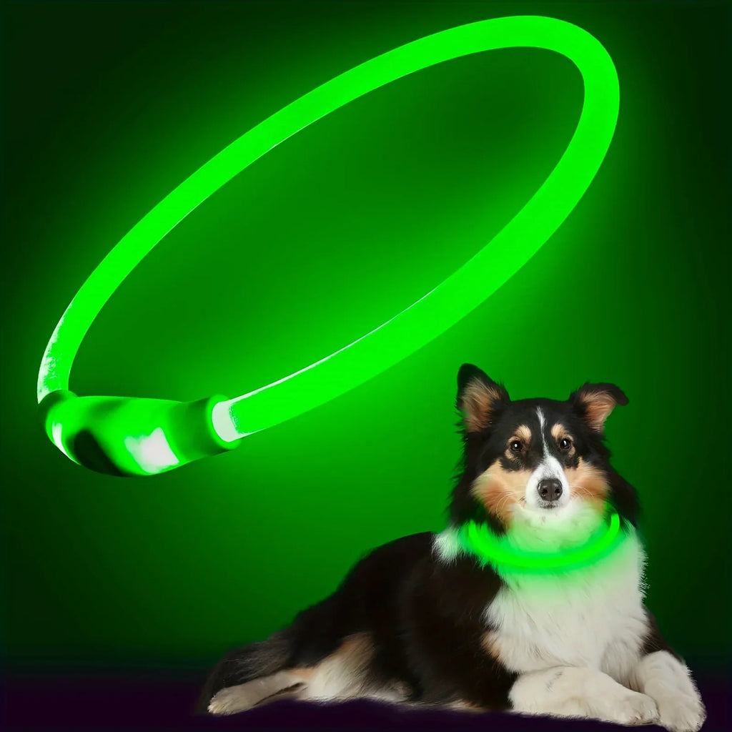 USB Rechargeable LED Dog Collar – Reflective Night Safety Black