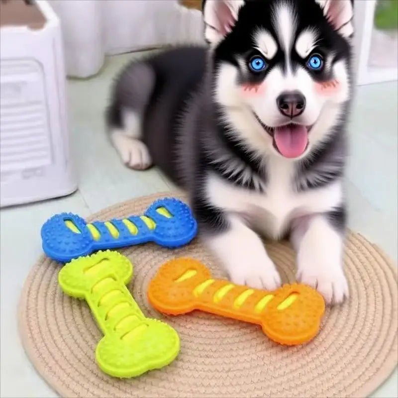 Squeaky Bone Dog Toy – Durable Chew Toy for Large Breeds | TPR Rubber