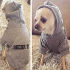 Cotton Dog Hoodie for Small Dogs – Warm Autumn Winter Jacket