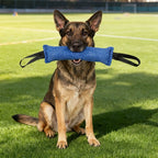 Jute Bite Pillow Tug Toy for Dog Training
