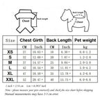 Dog Hoodie Sweatshirt Autumn Winter – One Size Pocket Warm Pullover