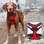 BeiYu Pet Dog Harness Vest Set – Leather Collar & Leash Kit for Small Dogs
