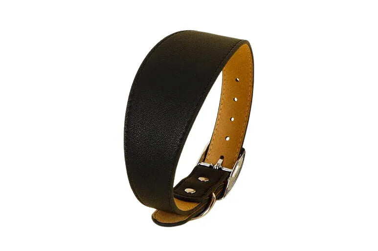 Wide Leather Dog Collar for Greyhounds – Durable Buckle Long-Neck Fit