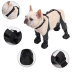 Dog Boots – Waterproof Anti-Slip Paw Protectors