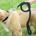 Dog Leash – Heavy Duty Braided Rope