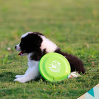 Durable Dog Training Disc – Lightweight Fetch Toy for Puppies & Adult Dogs