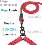 Dog Double Leash – Tangle-Free Bungee Control