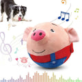 Cartoon Interactive Dog Toy – Smart Motion Play Ball