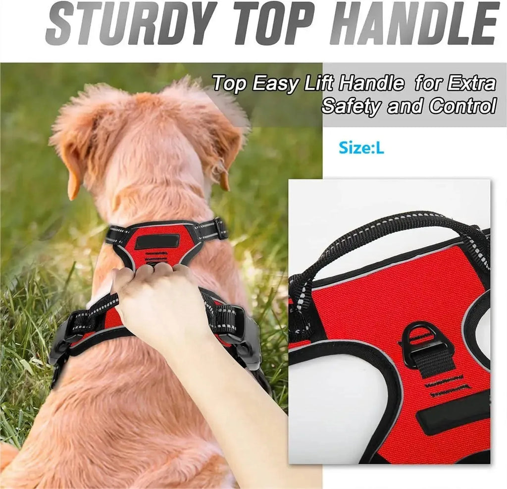 BeiYu Pet Dog Harness Vest Set – Leather Collar & Leash Kit for Small Dogs