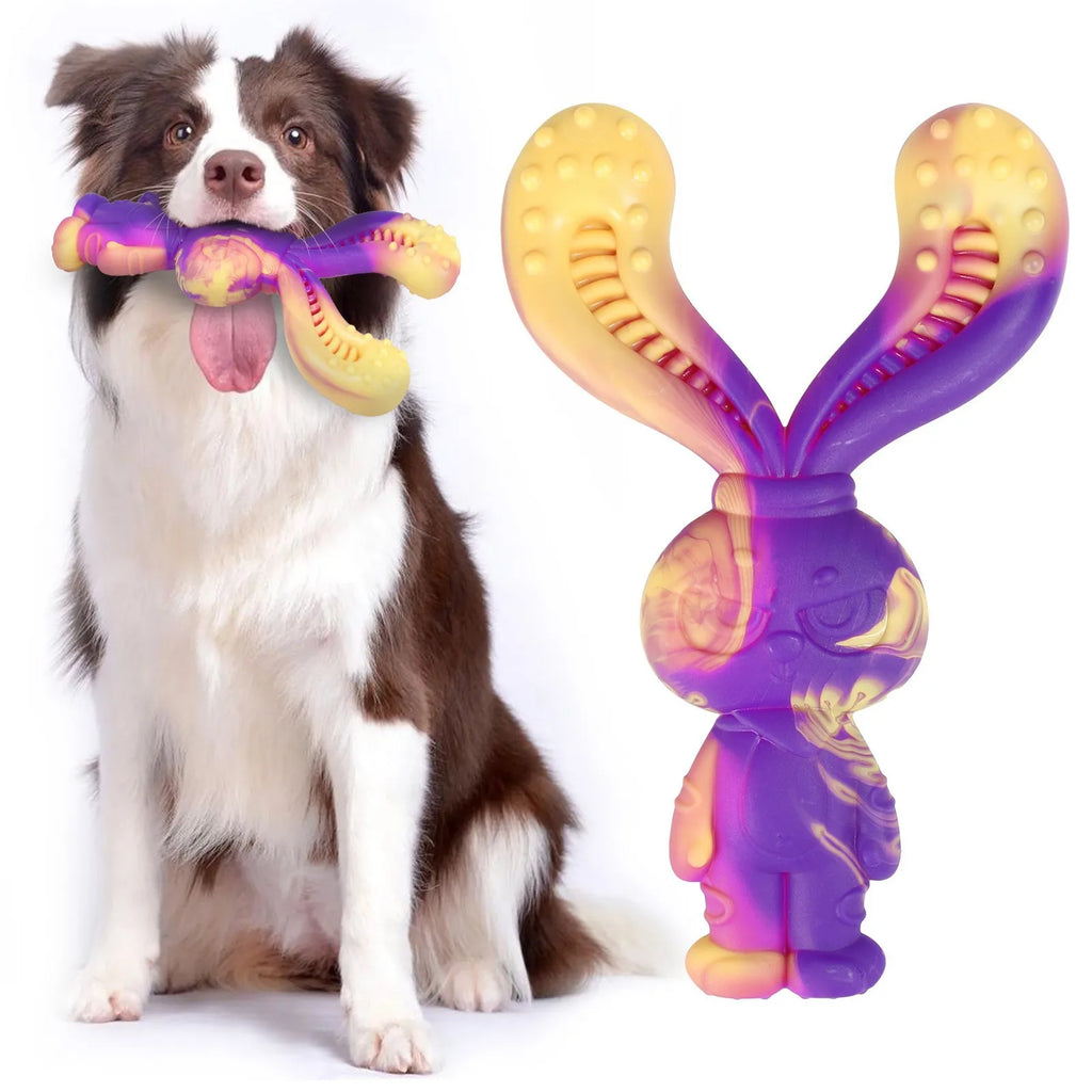 Beef Flavor Dog Chew Toy – Durable Squeaky Training Aid