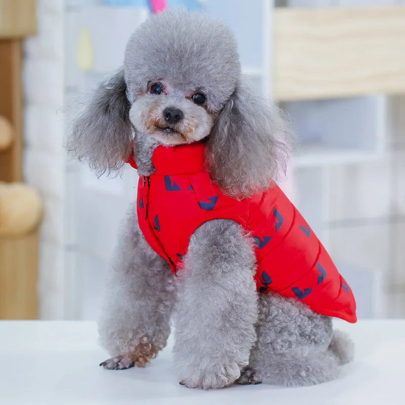Winter Coat for Small Dogs – Insulated Cotton Jacket for Chihuahua