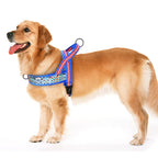 Reflective Dog Harness Vest – Warm Padded Night Safe Design