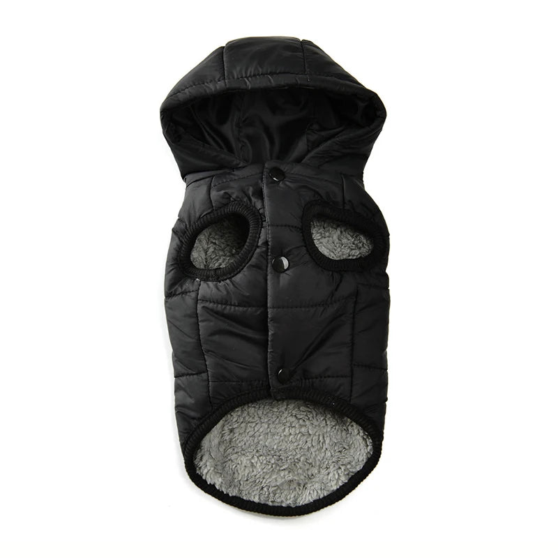 Thick Warm Dog Jacket – Autumn Winter Coat for Small Dogs