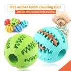 Rubber Chew Ball - Dental Care & Treat Dispensing for Dogs