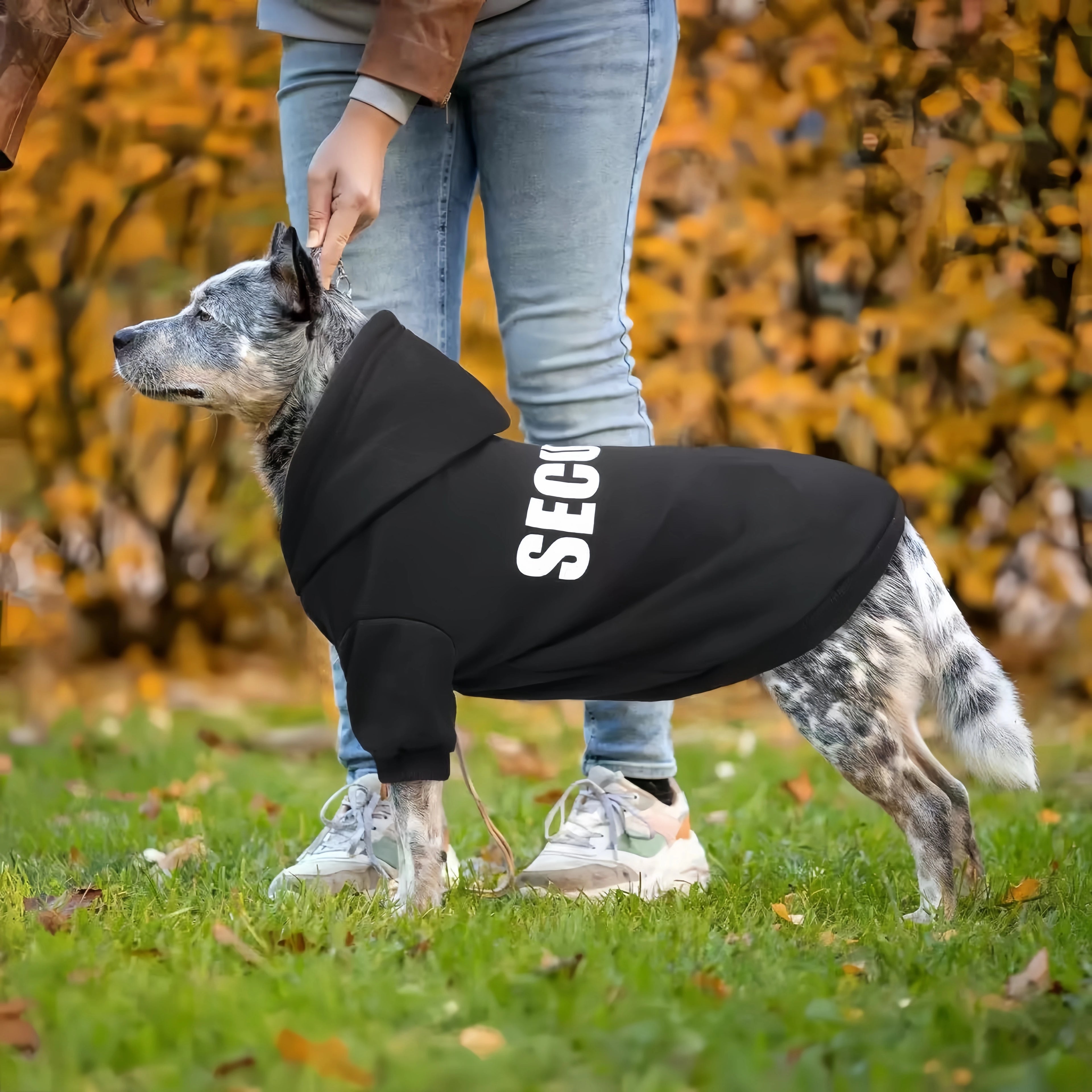 Cotton Dog Hoodie for Small Dogs – Warm Autumn Winter Jacket