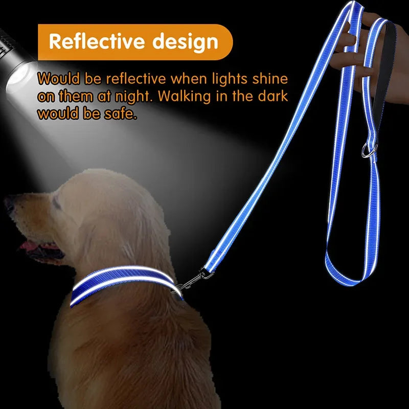 Dog Leash – Reflective Night Safety
