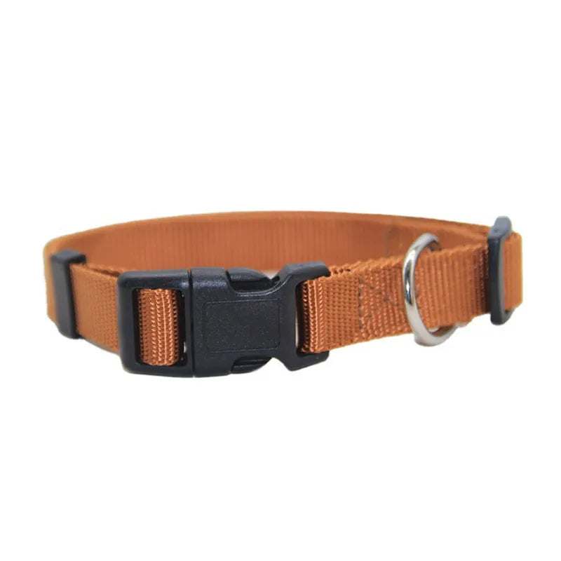 Solid Color Nylon Dog Collar – Adjustable Breakaway XS–XL