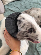 Dog Noise Reduction Headgear – Waterproof Calming Earmuffs