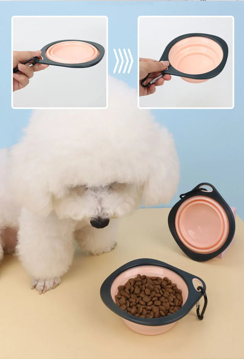 Collapsible Silicone Dog Travel Bowl – Portable Outdoor Feeding Dish