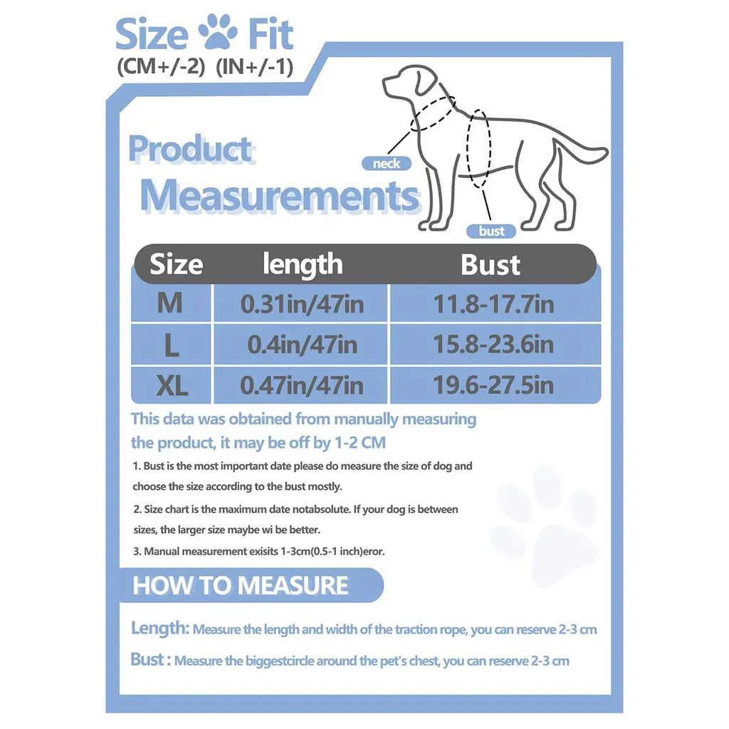 Dog Harness Set – Adjustable Comfort Fit