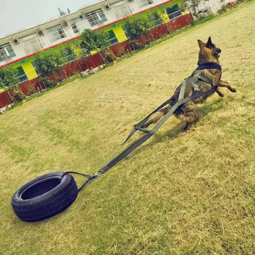 Dog Training Pull Leash – Strength & Resistance Harness