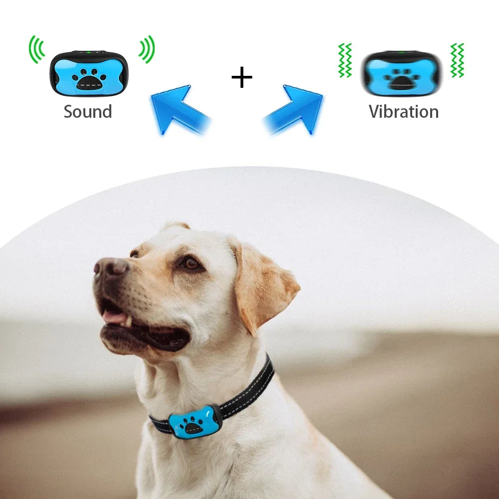 Humane Anti-Barking Dog Collar – Rechargeable & Automatic Vibration Training