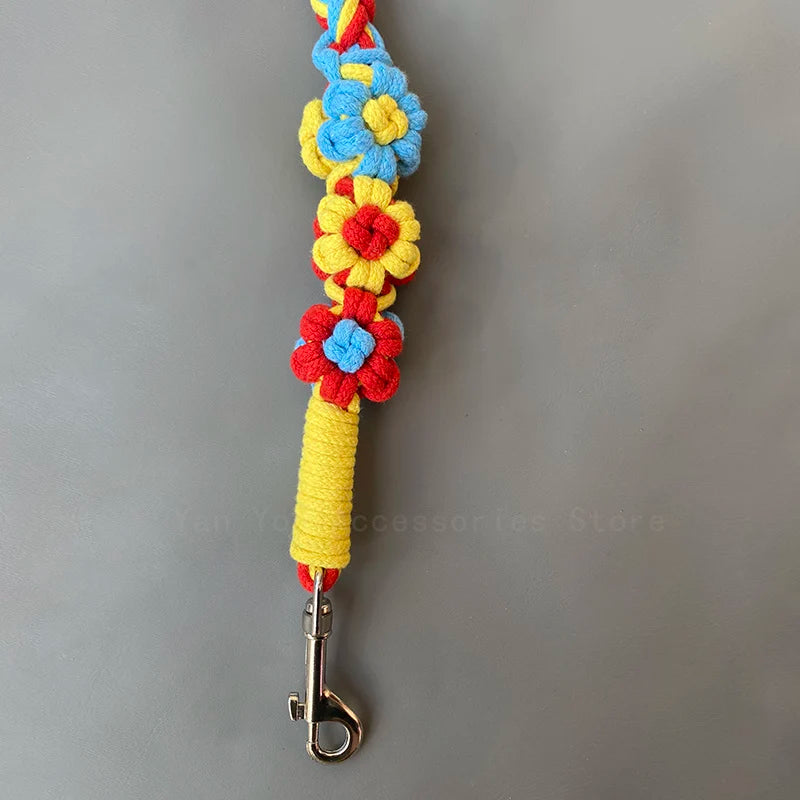 Dog Leash – Handwoven Anti-Slip Rainbow