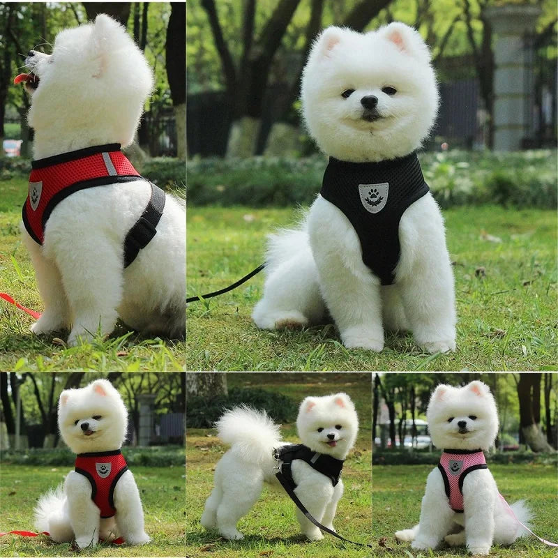 Small Dog Harness & Leash Set – Breathable Mesh Vest