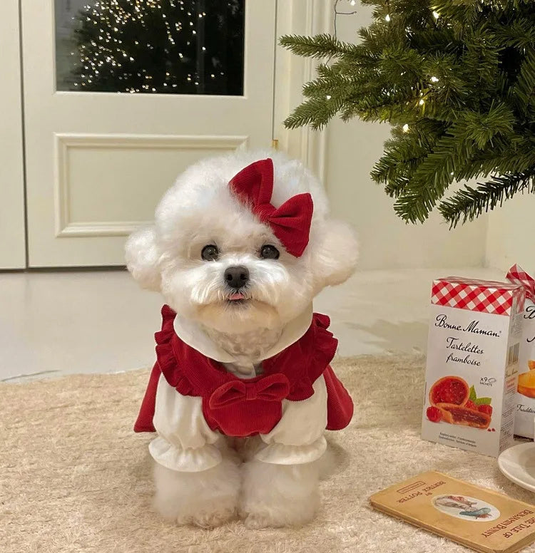 Winter Corduroy Dog Dress Set – Red Bow Outfit XS-XXL