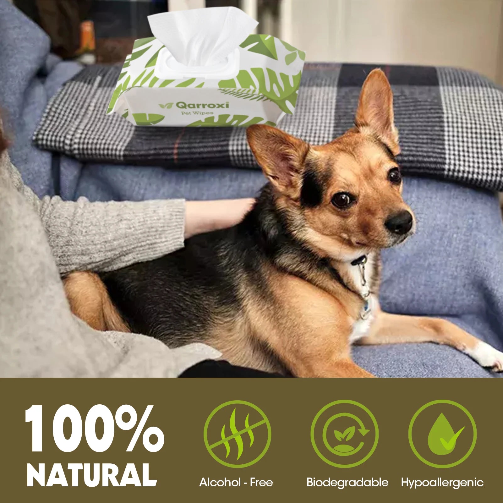 Dog Cleaning Wipes – Gentle Daily Pet Wipes (100pcs)