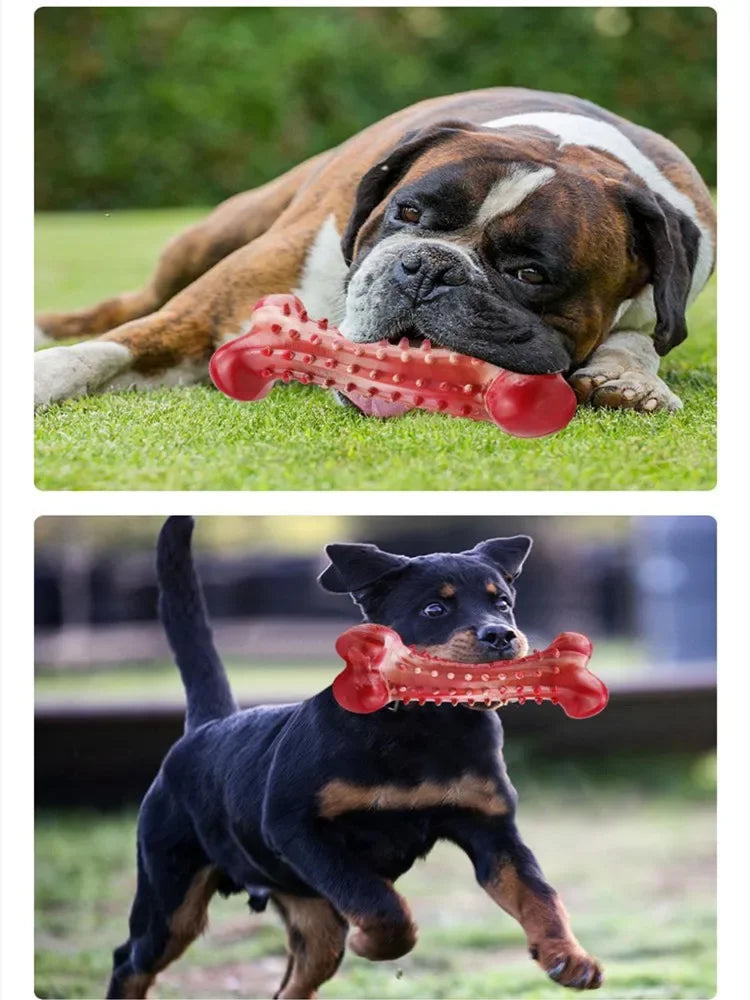 Natural Rubber Bone Dog Chew Toy – Dental Clean