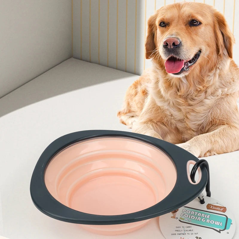 Collapsible Silicone Dog Travel Bowl – Portable Outdoor Feeding Dish