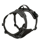 BeiYu Pet Dog Harness Vest Set – Leather Collar & Leash Kit for Small Dogs