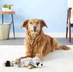 KONG Scrunch Knots Raccoon Dog Toy – Stuffing-Free Plush Squeaky Toy