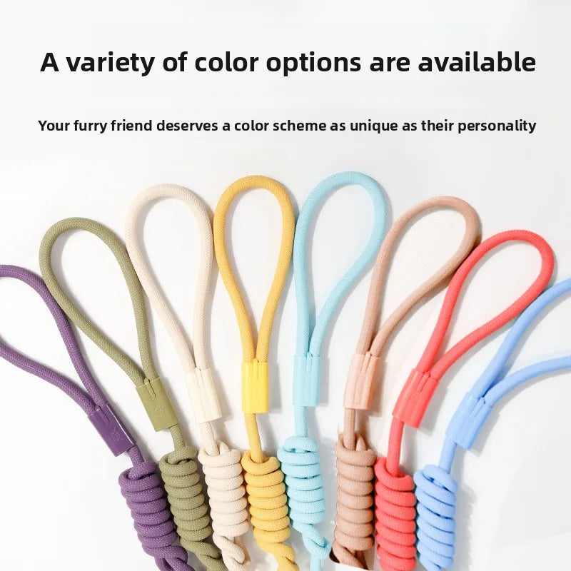 Dog P Chain Leash – Lightweight Slip Rope