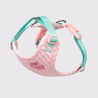Luxury Dog Harness Set – Stylish Leash & Plush Design