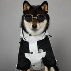 Waterproof Hooded Dog Raincoat Windbreaker – Lightweight Polyester