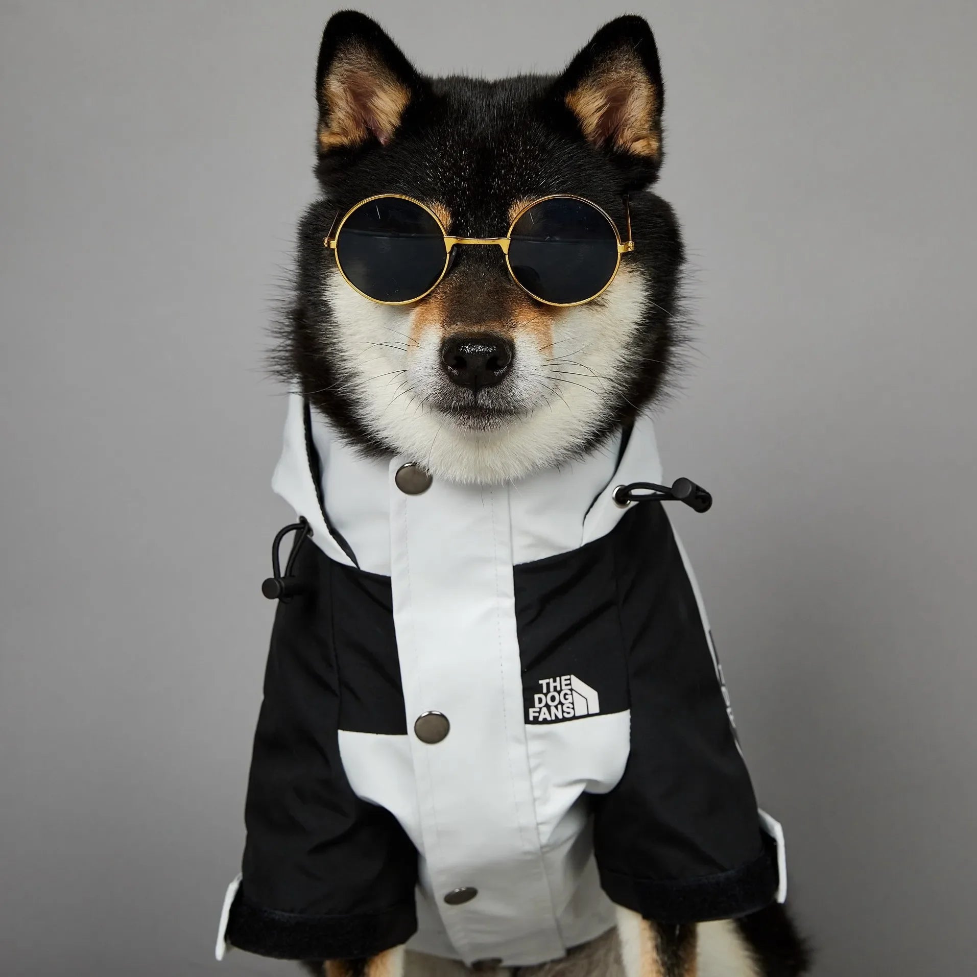 Waterproof Hooded Dog Raincoat Windbreaker – Lightweight Polyester