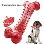 Natural Rubber Bone Dog Chew Toy – Dental Clean