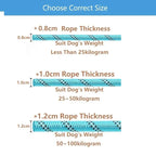 Dog Slip Leash – Anti-Pull Rope Control