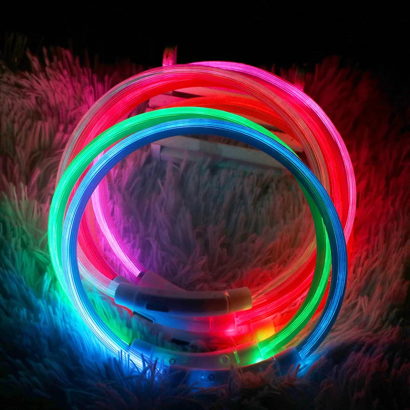 LED Dog Collar USB Rechargeable – 3 Mode Night Safety Light
